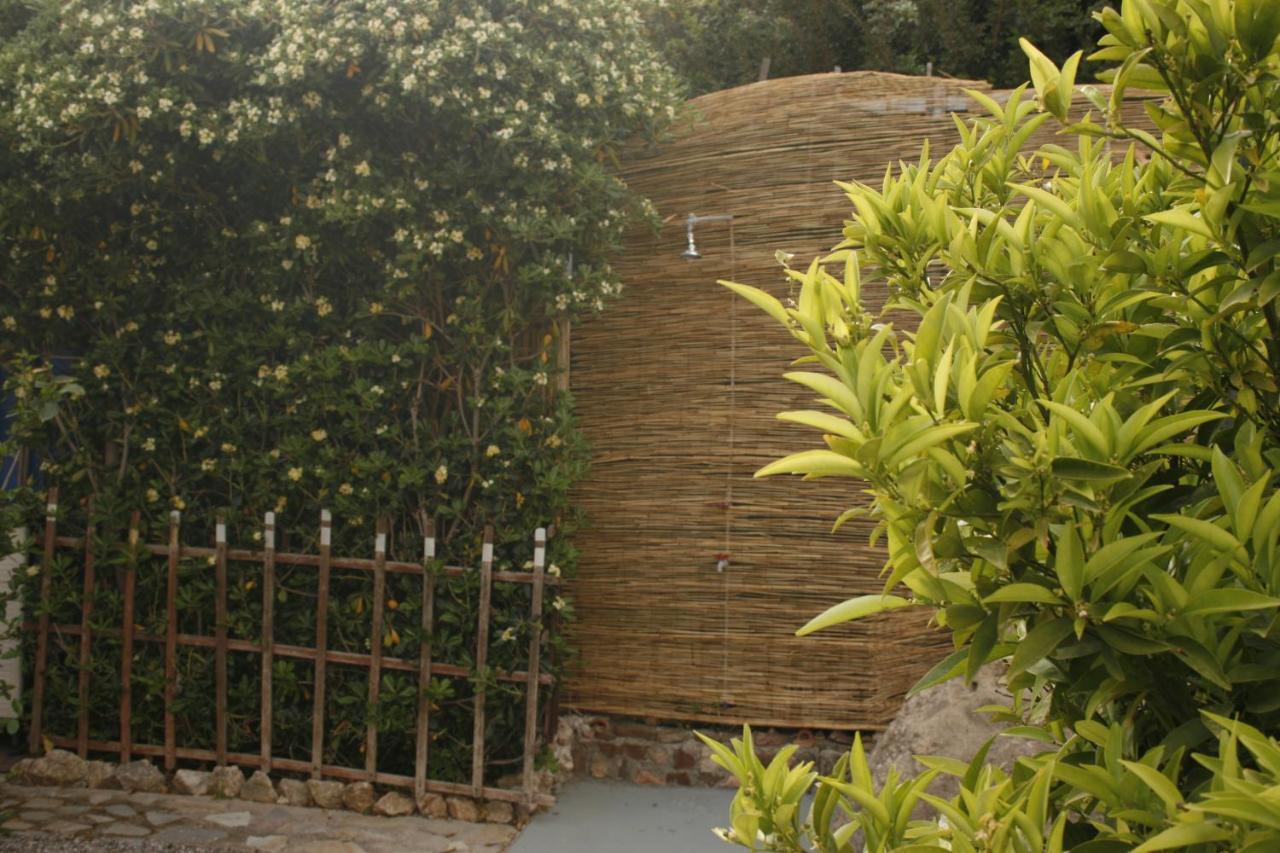 Kiki Stegna Apartment Archangelos  Exterior photo
